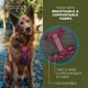 thumbnail image 4 of Arnés para perro Wilderdog Pequeña Huckleberry reflectante, 4 of 6