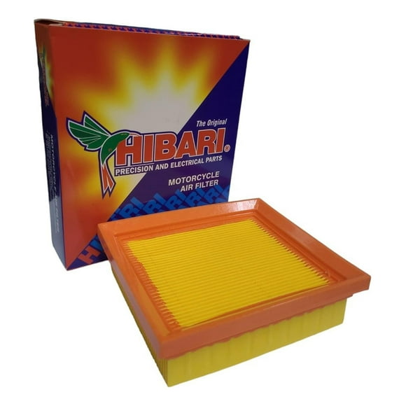 Filtro De Aire Motorrad Ttx 150 Japones