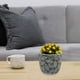 thumbnail image 4 of Maceta Decorativa Otoño Verde, 4 of 5