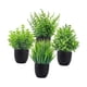 thumbnail image 2 of Pequeñas Plantas Falsas Planta De Interior Bonsai Artificial Para Baño Sala De Estar Escritorio, 2 of 3