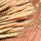 thumbnail image 3 of 100 tallos de trigo secos naturales, gavillas de trigo dorado, tallos de trigo de cosecha de otoño, ramo de trigo para arreglos florales DIY, decoración de mesa de boda, Acción de Gracias, hogar, 3 of 7