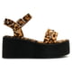 thumbnail image 1 of Sandalia Greti Leopard Landazuri, 1 of 4