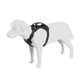 thumbnail image 1 of Arnés para perro Thule Cappy S con paso para cinturón de seguridad, 1 of 9