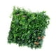thumbnail image 3 of Panel De Pared De Plantas Artificiales, Telón De Fondo De Pared Verde Para Fiesta De Cumpleaños En Interiores, Estilo C, 3 of 3