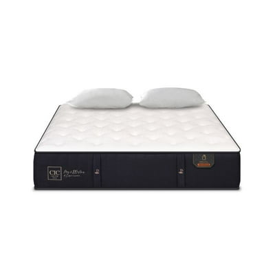 Colchón Premium 2 Plaza