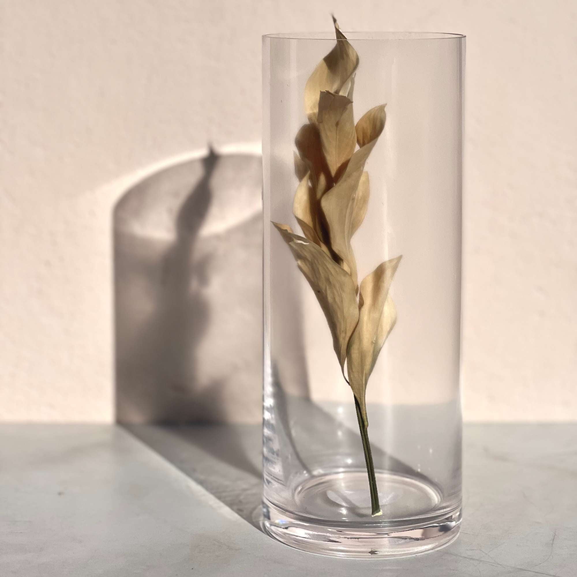 Decoexpress - Florero York 25x9.9 Cm