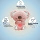 thumbnail image 2 of Peluche Sleep Buddy, relajante koala para aliviar la ansiedad, 2 of 3