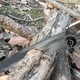 thumbnail image 4 of Sierra plegable REXBETI de 11" con hoja de acero SK-5 de alta resistencia, 4 of 7