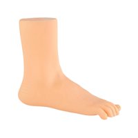 Magideal - Modelo De Pies De Maniquí Para Adultos, Pies Femeninos, Calcetines, Exhibición De Zapatos Cortos Pie Derecho