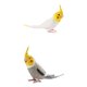 thumbnail image 5 of 2 Esculturas De Animales De Pájaro Para Decoración Del Hogar, Figuras De Loro, Juguetes Para Paisajismo DIY, 5 of 5