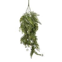 Corel - Ramo Cypress Verde