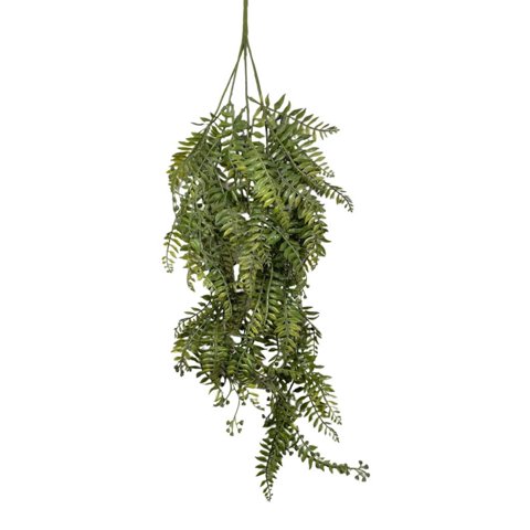 Corel - Ramo Cypress Verde