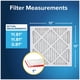 thumbnail image 2 of Filtro de aire HVAC Filtrete MERV 11 MPR 1000 30 x 30 x 2 cm, paquete de 2, 2 of 9