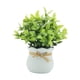 thumbnail image 5 of Pequeñas plantas falsas, plantas artificiales en macetas, mesa decorativa, centro de mesa, adorno de escritorio, plantas de imitación para alféizares Blanco, 5 of 5