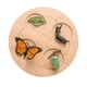 thumbnail image 5 of Bandeja De Madera Montessori Para Bicicleta, Decoración De Escritorio Para Juegos, Mariposa, 5 of 5