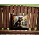 thumbnail image 2 of Almohada Decorativa Airedale Terrier, 2 of 6