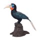 thumbnail image 3 of Figura De Pájaro Modelo, Juguete Educativo, Escritorio, Oficina, Estatua Realista De Pájaro, Cálao Negro, 3 of 5
