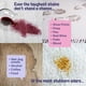 thumbnail image 4 of Champú limpiador de alfombras Sunny & Honey Carpet Miracle 3,8 L, 4 of 9