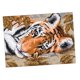 thumbnail image 3 of Kit de punto de cruz estampado preimpreso bordado con estampado de tigre 14ct 29 x 21 cm, 3 of 5