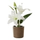 thumbnail image 2 of Set 2 Planta Artificial Decorativa Lirios Adorno Hogar Jhn, 2 of 3