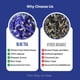 thumbnail image 5 of Té de hierbas, té azul, mariposa, guisante, 60 ml/taza, 150 tazas, 5 of 9