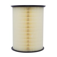 Repuestos Del Sol - Filtro Aire Volvo C30 2.0 2009 2014