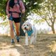 thumbnail image 5 of Arnés para perro Ruffwear Swamp Cooler Mediano Azul Biolumin, 5 of 7