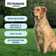 thumbnail image 5 of Collar PetArmor Extend para tratamiento de pulgas y garrapatas para perros grandes, 5 of 8