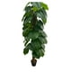 thumbnail image 3 of Planta Artificial Decorativa De 160 Cm Con Macetero, 3 of 5