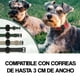 thumbnail image 3 of Soporte Collar Mascotas Para Airtag Impermeable Resistente, 3 of 6