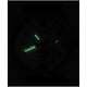 thumbnail image 2 of Reloj Analógico Mtp m300l 7a Blanco Hombre, 2 of 3