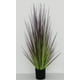 thumbnail image 2 of Planta Decorativa Pasto Cebolla Morado 68Cm, 2 of 2