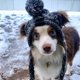 thumbnail image 4 of Gorro de punto de invierno para perro BBDDKEG, gris, talla L, 4 of 8