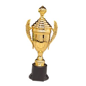 Magideal - Trofeo De Premio Copa De Trofeo Para Niños Trofeo Divertido Suministros Para Fiestas Decoración Copa De Trofeo De Participación Trofeo Para Niños Para Estilo B