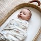 thumbnail image 2 of Sleepsack HALO Winnie the Pooh Algodón M Swaddle Bebé, 2 of 3