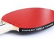 thumbnail image 2 of Raqueta de tenis de mesa Expert 3.0 Palio aprobada por la ITTF con estuche, 2 of 6