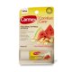thumbnail image 4 of Bálsamo Labial Carmex Comfort Care Explosión de Sandía 4.25g Paquete de 3, 4 of 9
