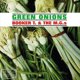 thumbnail image 1 of Álbum Hallmark Green Onions, 1 of 1