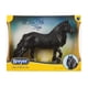 thumbnail image 5 of Modelo Horse Breyer GG Kiss Me Kat B-TR-10717 negro 1:9, 5 of 5