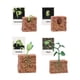 thumbnail image 1 of Figuras De Ciclo De Vida, Juguete Educativo Realista Para Favores De Fiesta, Crecimiento De Plantas, 1 of 5