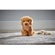 thumbnail image 2 of Animal de peluche Living Nature Golden Retriever de 20 cm, regalo para niños, 2 of 3