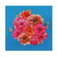 thumbnail image 3 of 35.4 Flower Print Bandana: Add a Pop of Color to Your Look with These Stylish Floral Head Scarves!, 3 of 5