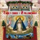 thumbnail image 1 of Virgin Mary Starfish Soft Printed Bedding Set Polyester Fabric Decorative & Warm, 1 of 5