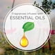 thumbnail image 2 of Air Wick Essential Mist de doble recarga, agave azul y bambú, 2 of 5
