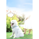 thumbnail image 3 of Arnés pechera transpirable + correa mascotas perro Gris, 3 of 3