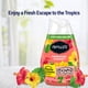 thumbnail image 2 of Ambientador Renuzit, gel sólido ajustable Hawaiian Sunset, 200 ml, 2 of 6