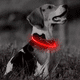 thumbnail image 5 of Collar LED para perros - Collar para perros con luz recargable por USB que brilla en la oscuridad., 5 of 6