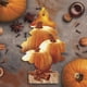 thumbnail image 3 of Ambientador Little Trees Pumpkin Spice - Pack de 24, 3 of 9