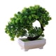 thumbnail image 3 of Plantas Artificiales En Maceta, Adorno Para Exterior, Regalo De Inauguración De La Casa, Piso, Interior, Estilo Loto, 3 of 5