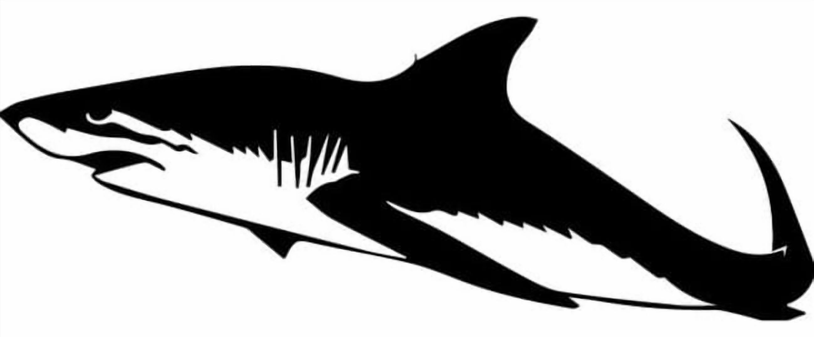 Rienda Libre Graphics - Decomural Shark Sea Animals Ws-32824